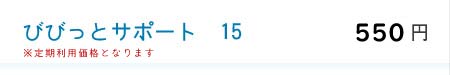 びびっとサポート15