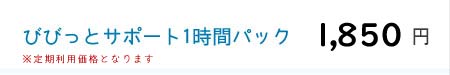 びびっとサポート1時間パック